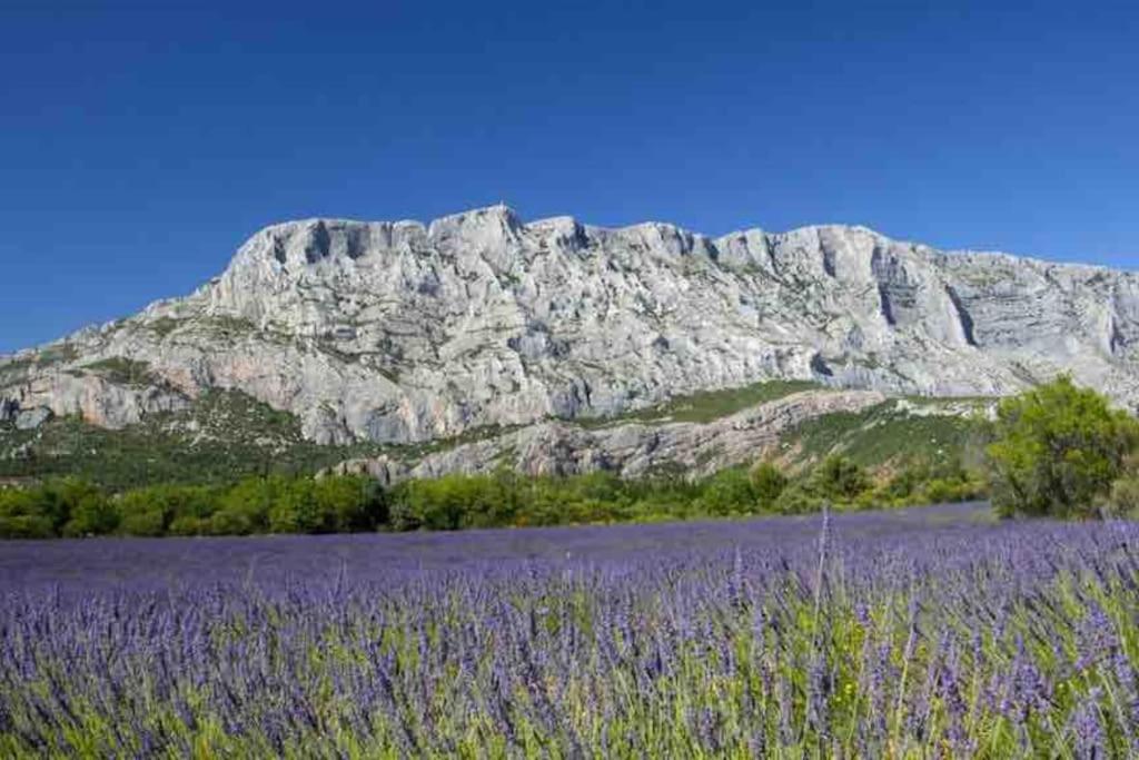 Le Cardinale - Un Voyage En Provence - 2 Chambres Avec Parking เอ็ก-ซอง-โพรวองซ์ ภายนอก รูปภาพ